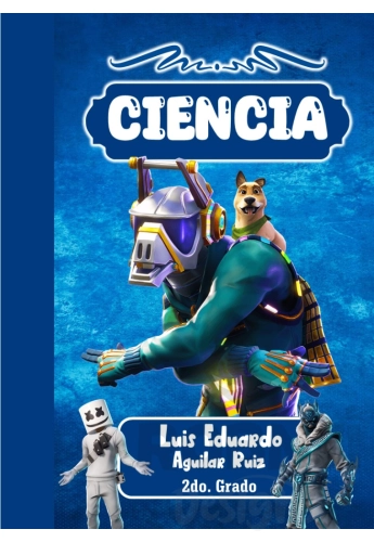 Fortnite 03 Portada